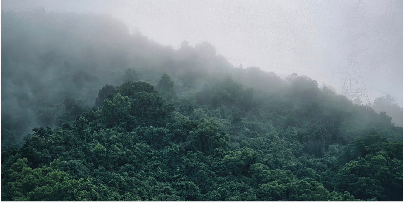Where Mind Meets Nature – Rain Drops Villa